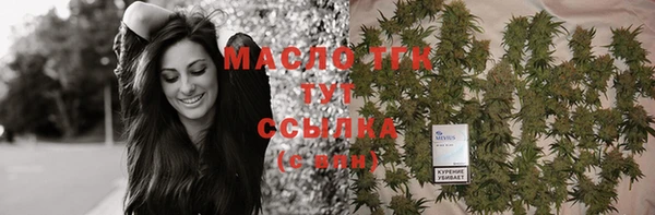 молекула духа Пересвет